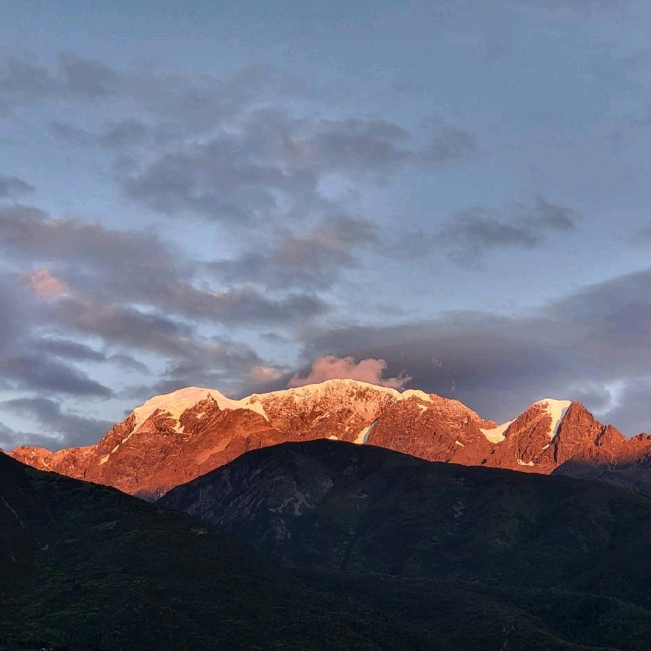 山有扶苏，隰有荷华