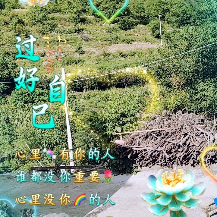 甘肃苦哥
