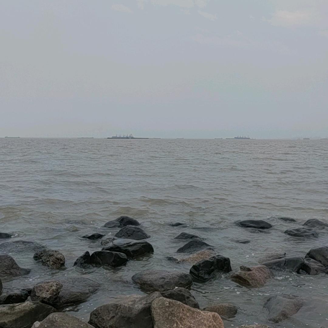 一杯水