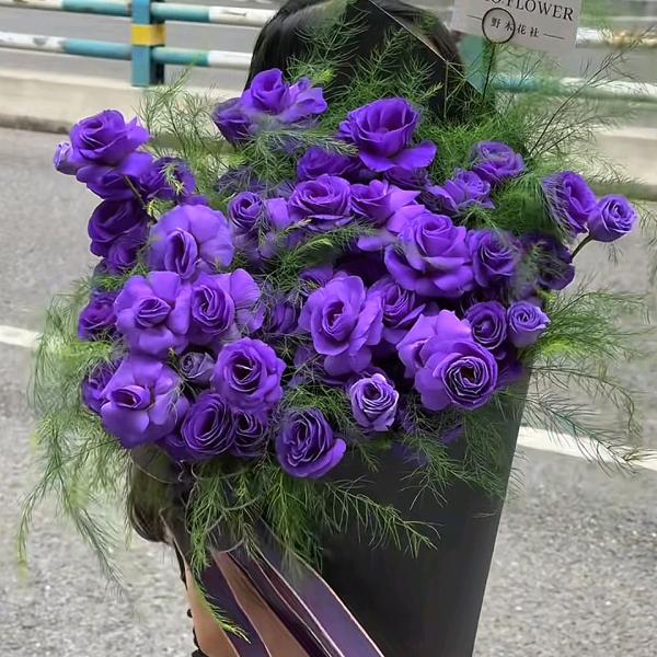 @兜里有米@