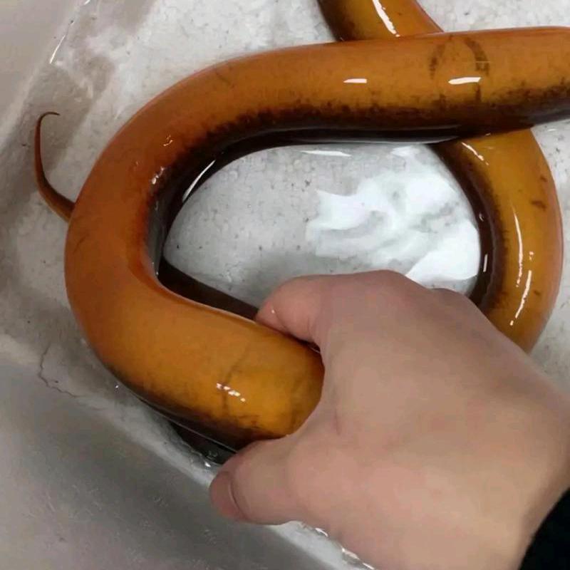 户外徐杰