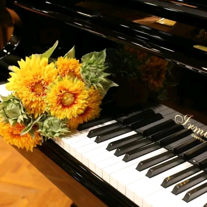 呼市做钢琴的露露老师