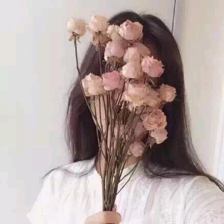 芬