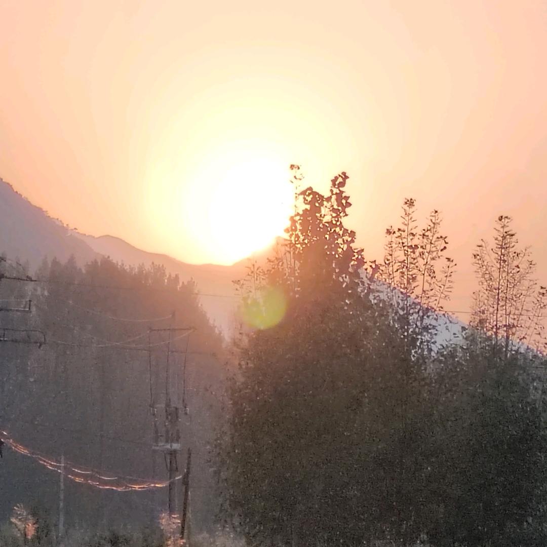 名字什么都是浮云