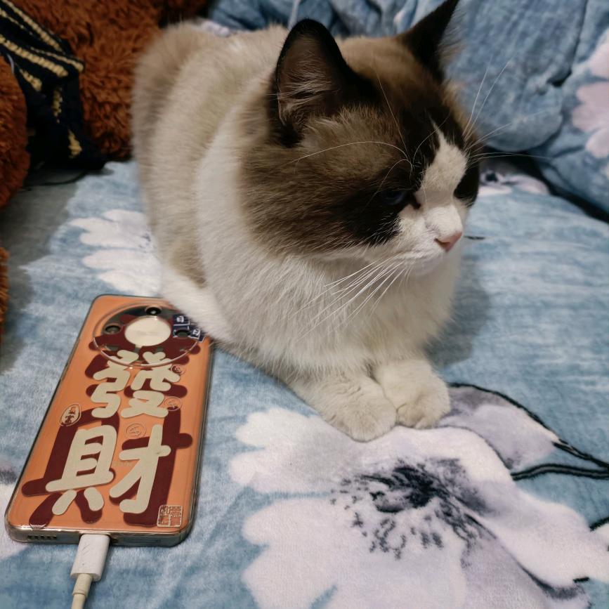 小妖º🇨🇳