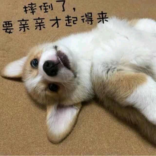 星柠