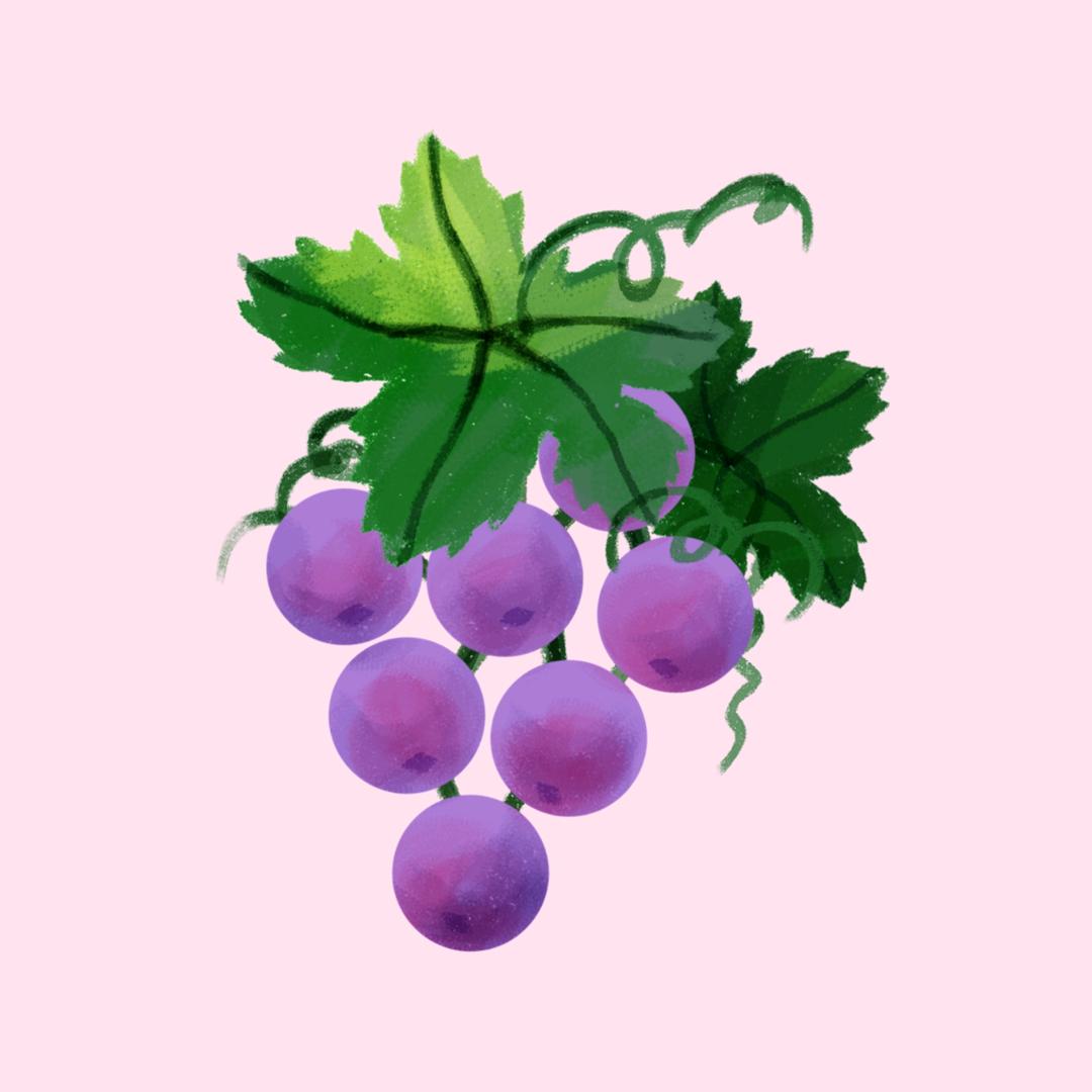 小鸭游戏
