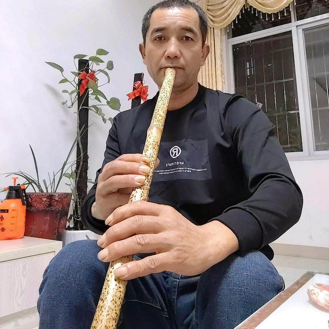 箫洒人生981397800