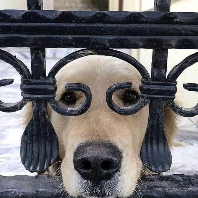口古口