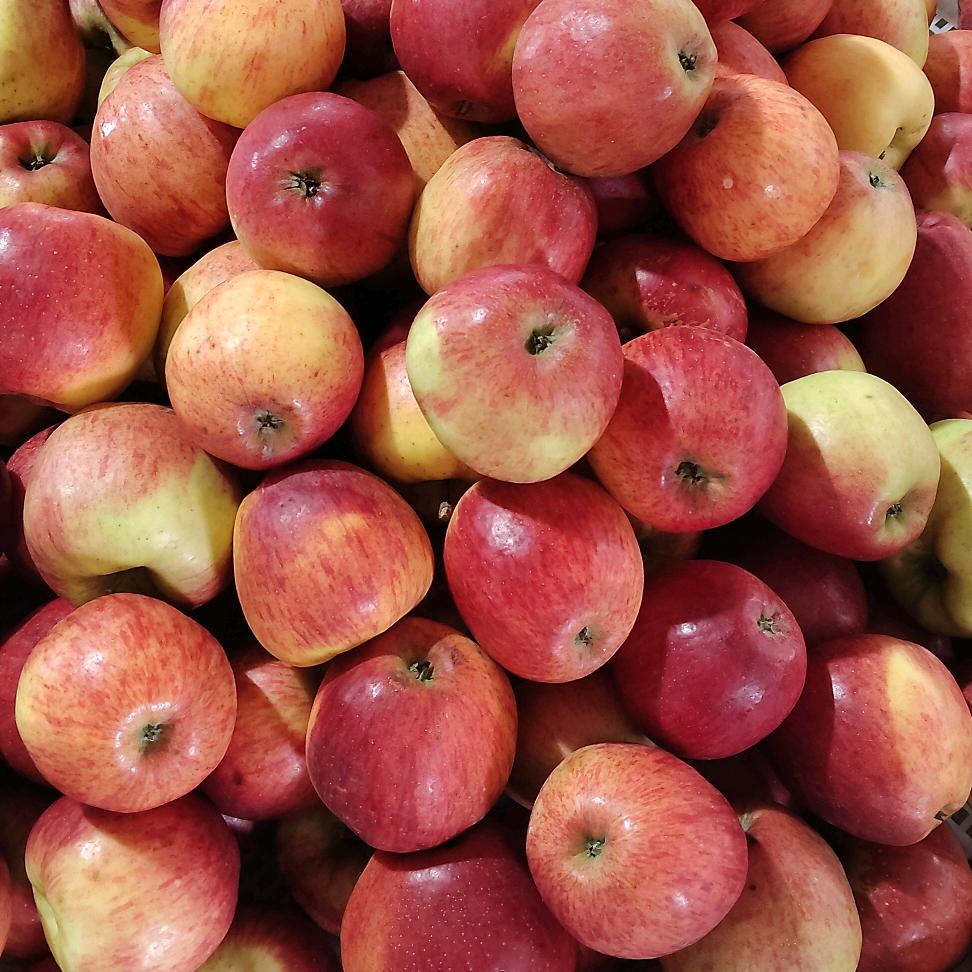 小陈🍏乐园