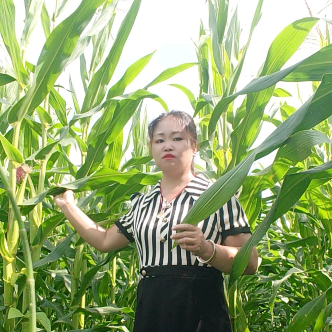 梅兰爱生活