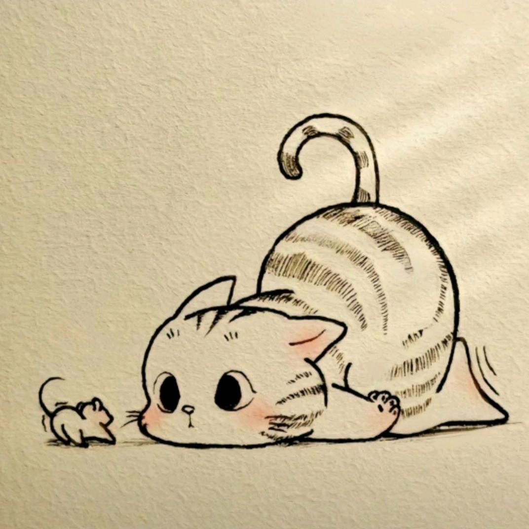 爱吃莴苣的猫