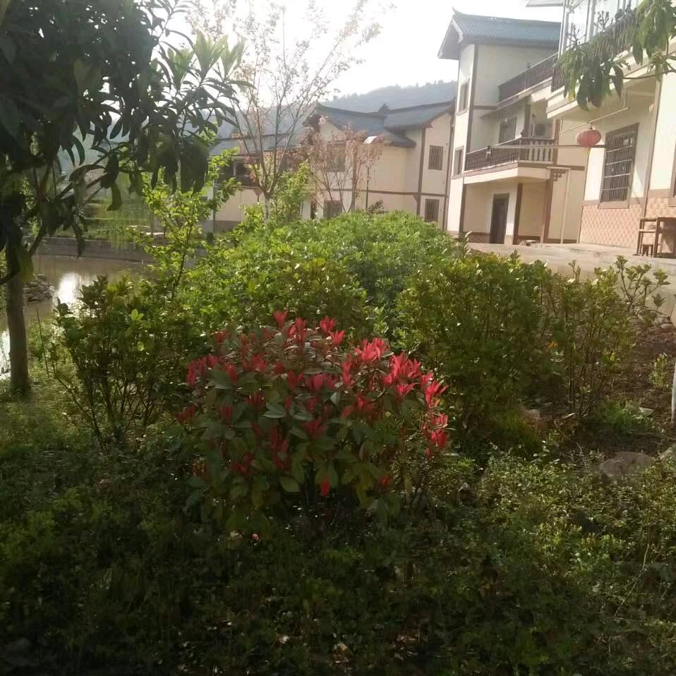 簡簡單單^O^