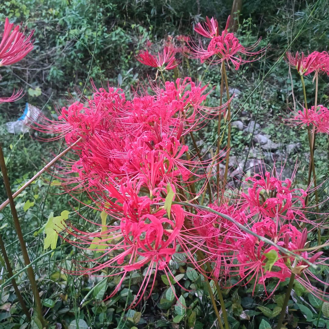 零度