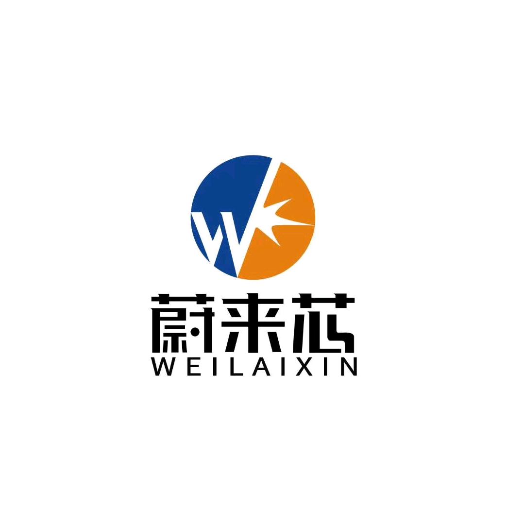 詹厂长蔚来芯汽车LED灯（工厂店）