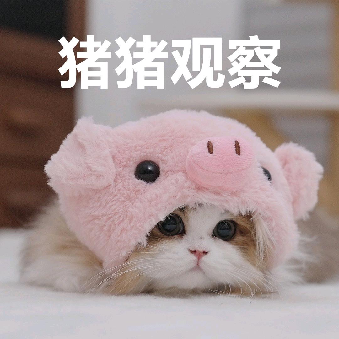 木鸢刻°