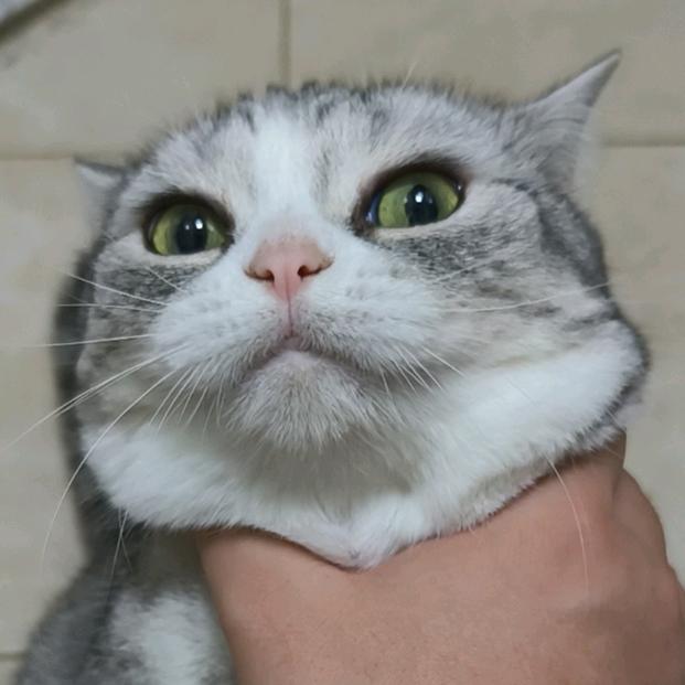 泉年无休刘老师