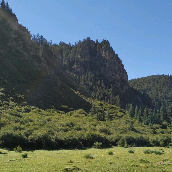 书写人生，体现快樂