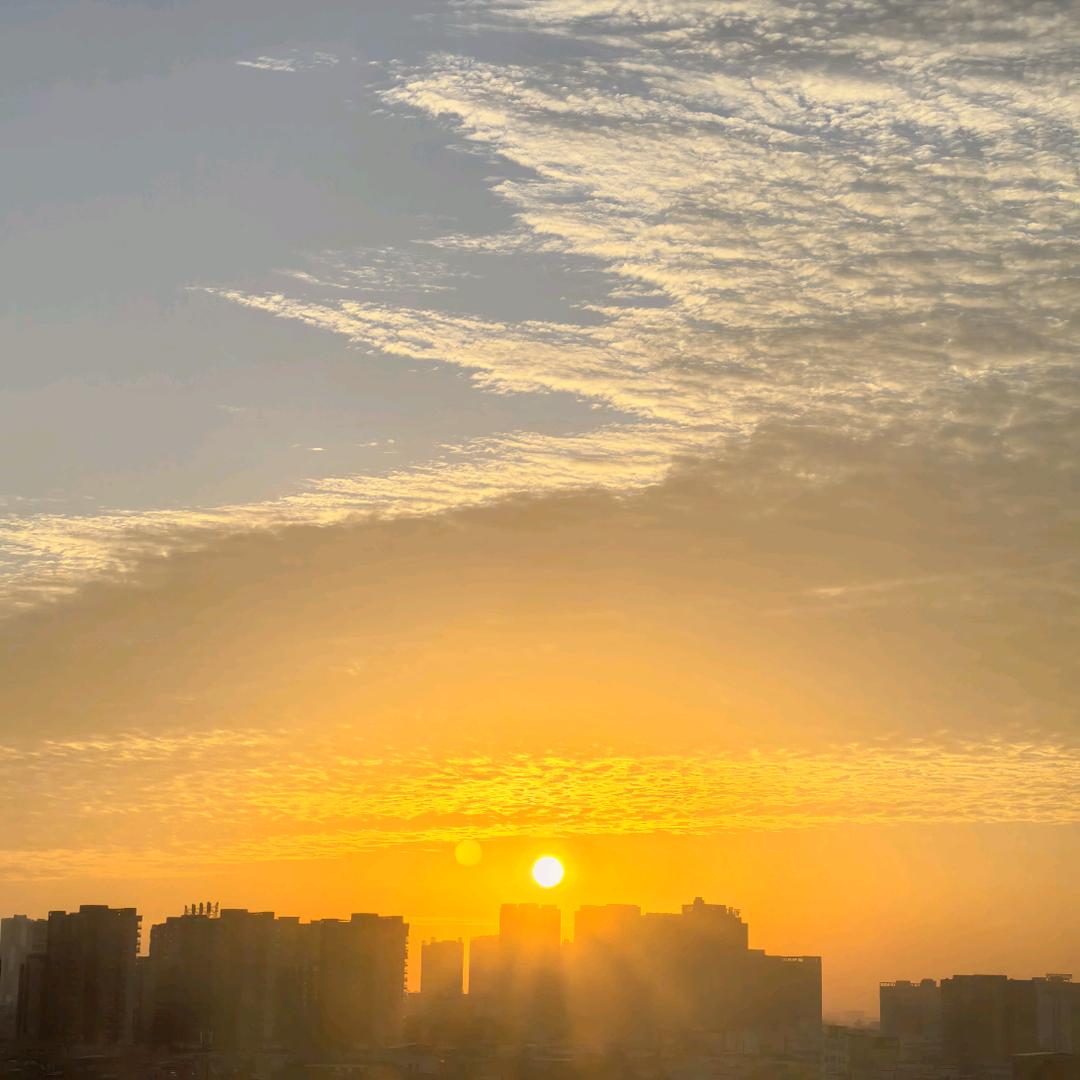 ☘️晴天🌞