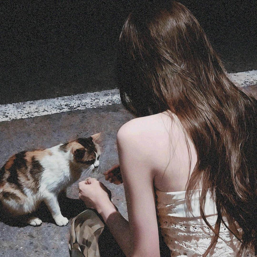 宝宝ᡣ𐭩歌🔮