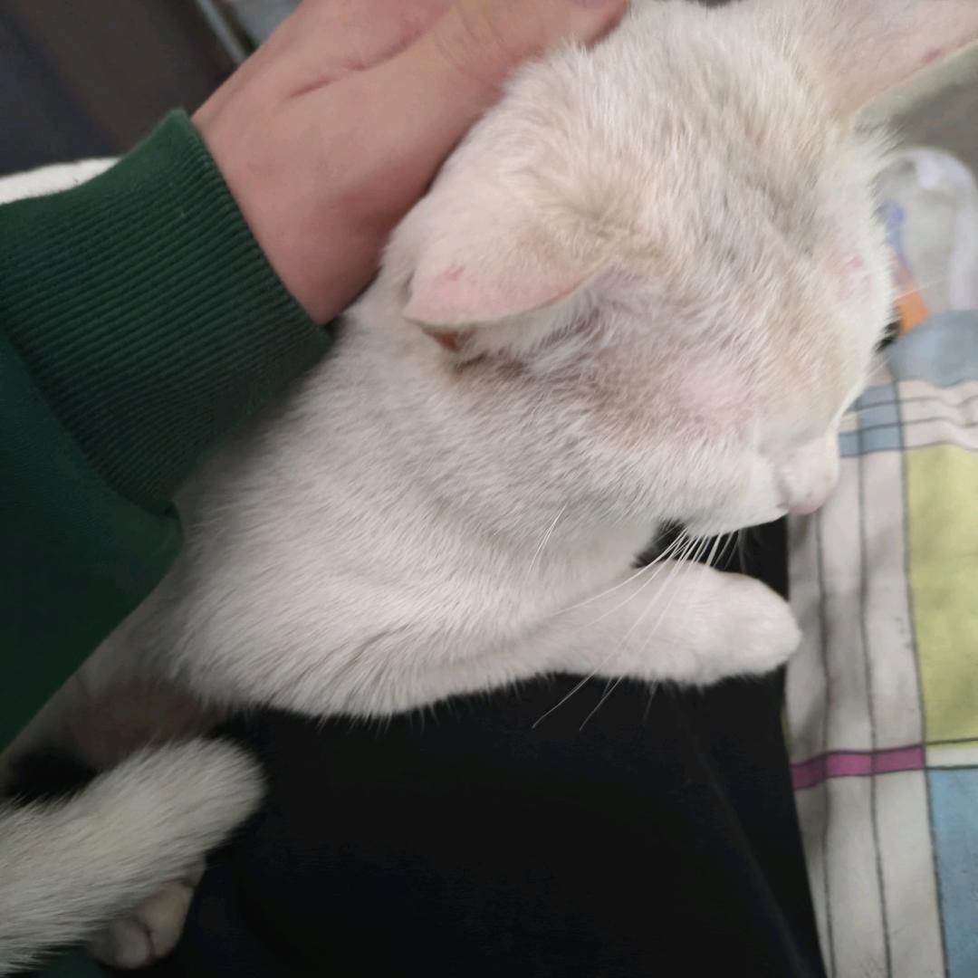 云海