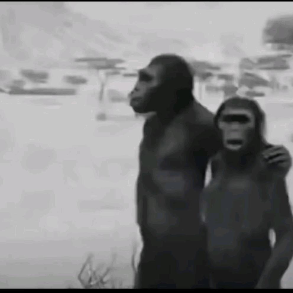 无路可退