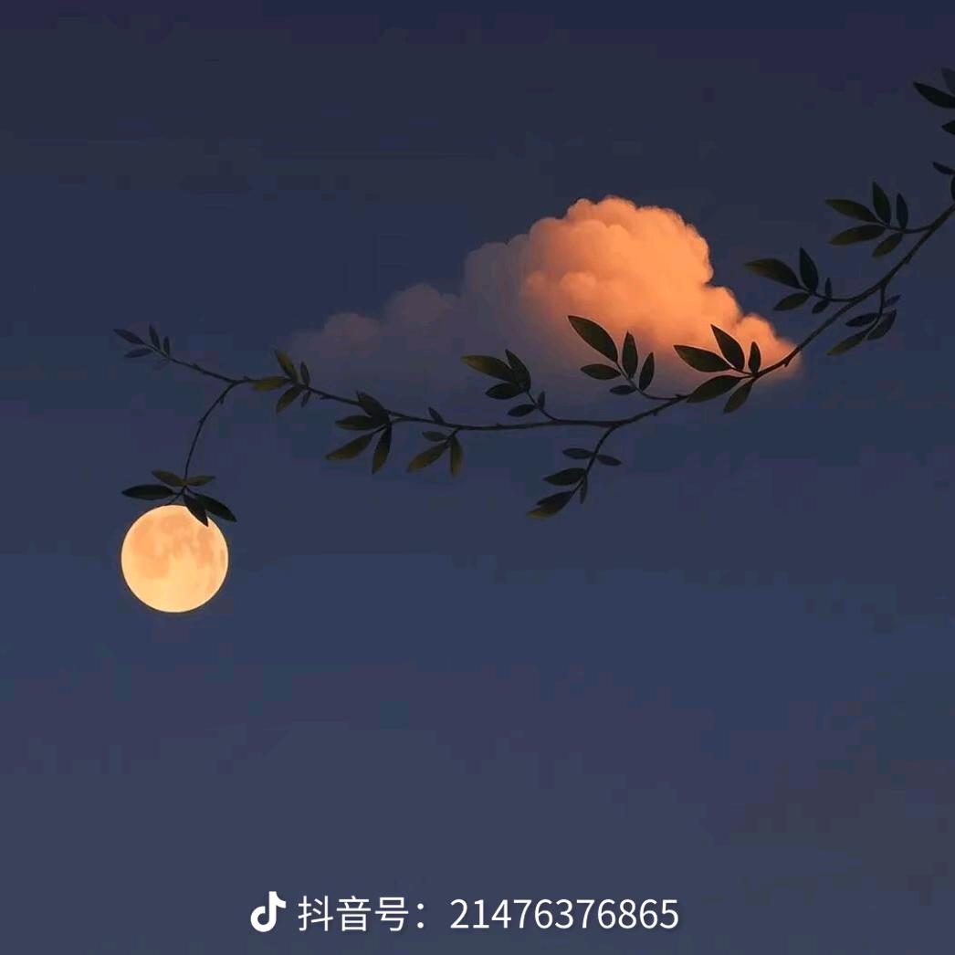 夏天的风