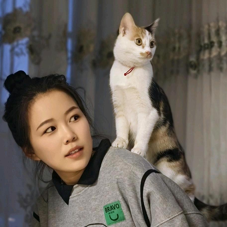 洋葱般的前半生