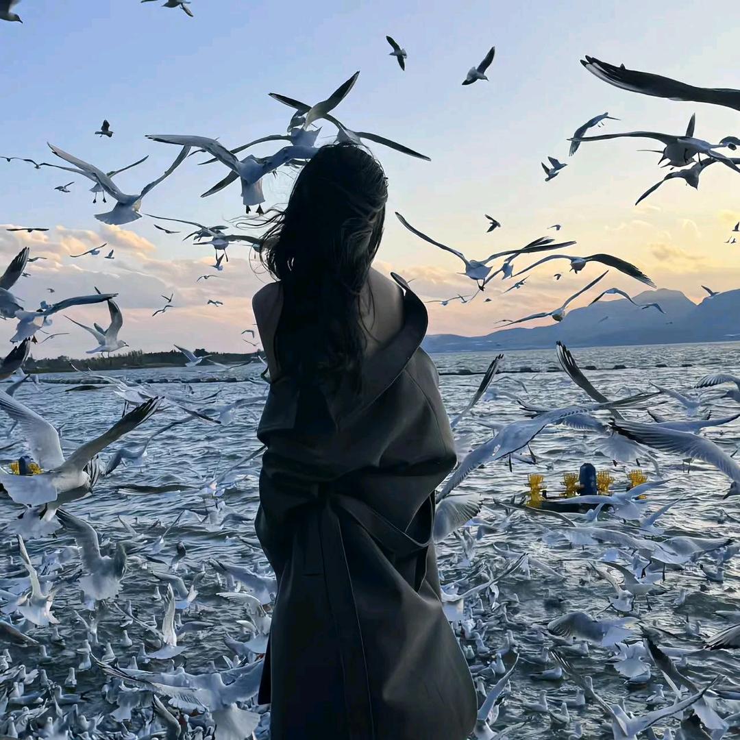 橘络泡水