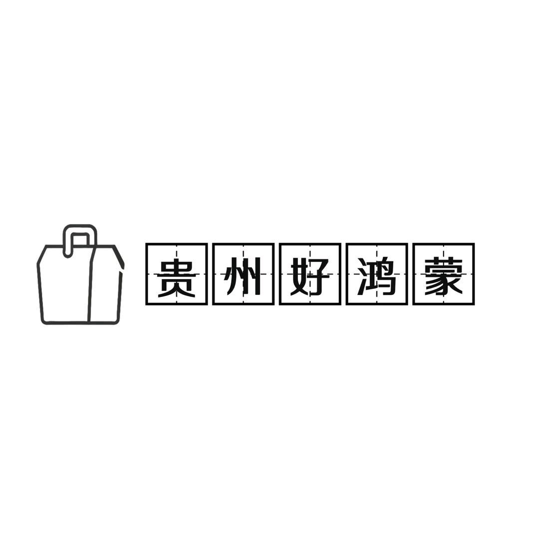 贵州好鸿蒙云平台大数据有限公司