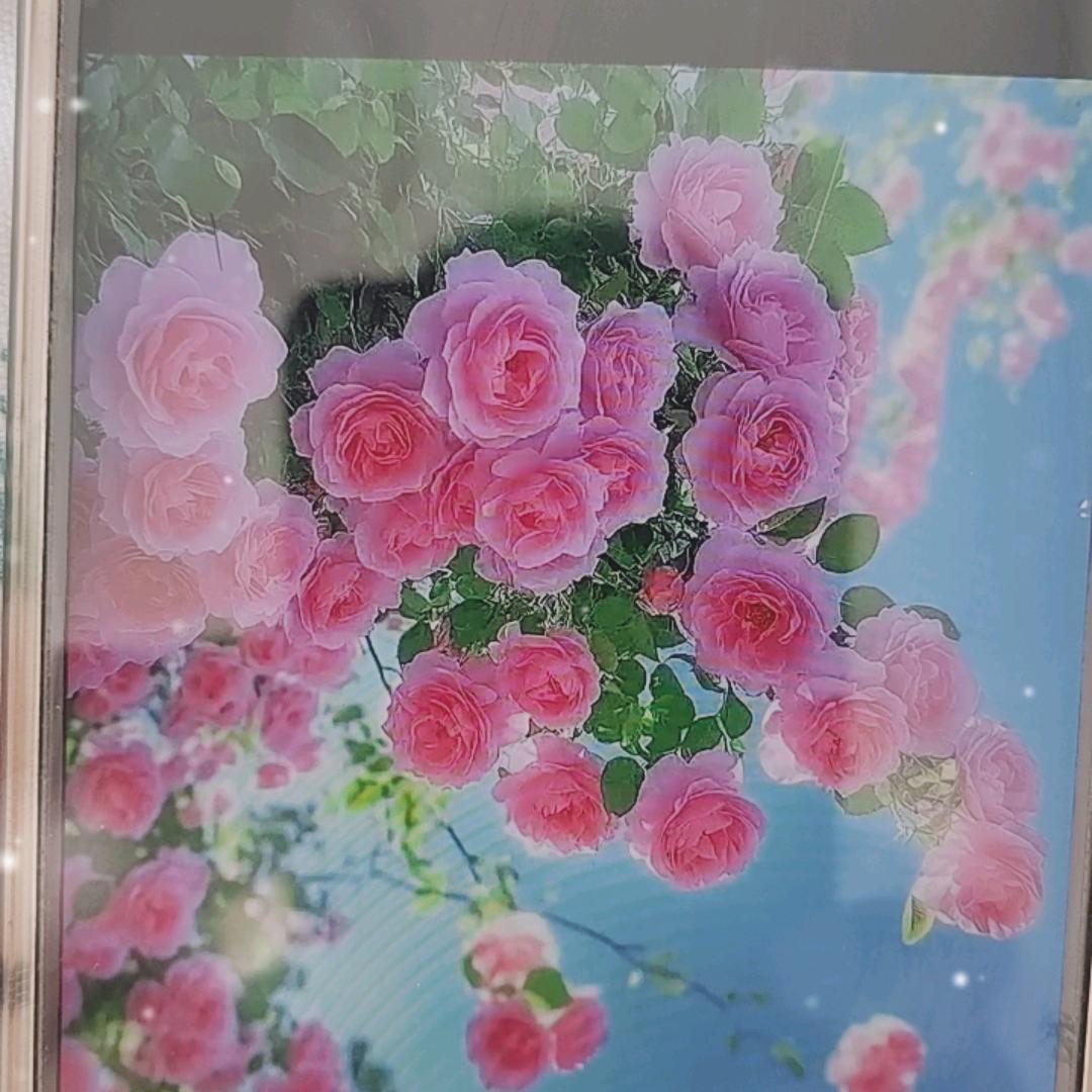 幸福奶奶头像
