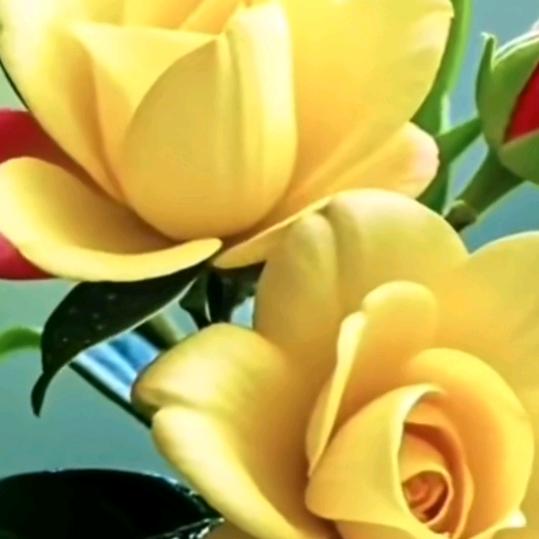 为了明天加油吧🍀🍀🍀