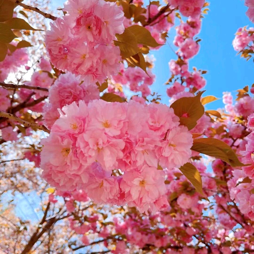 六盘水红星方太敏姐