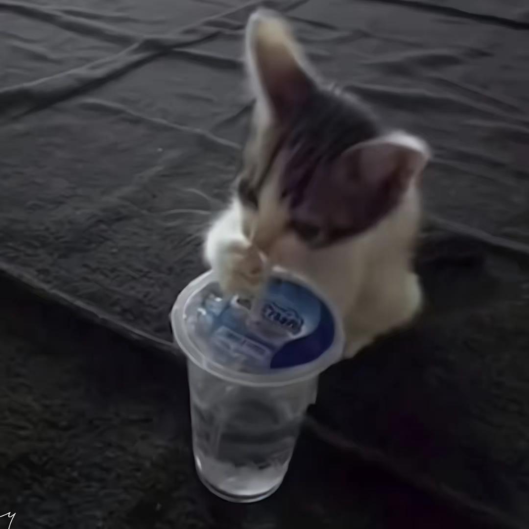 Dhrs（买脐橙找我）