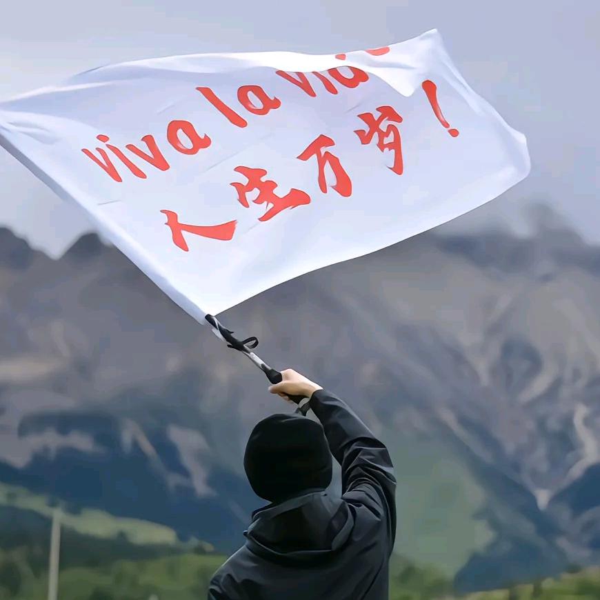摸鱼～！