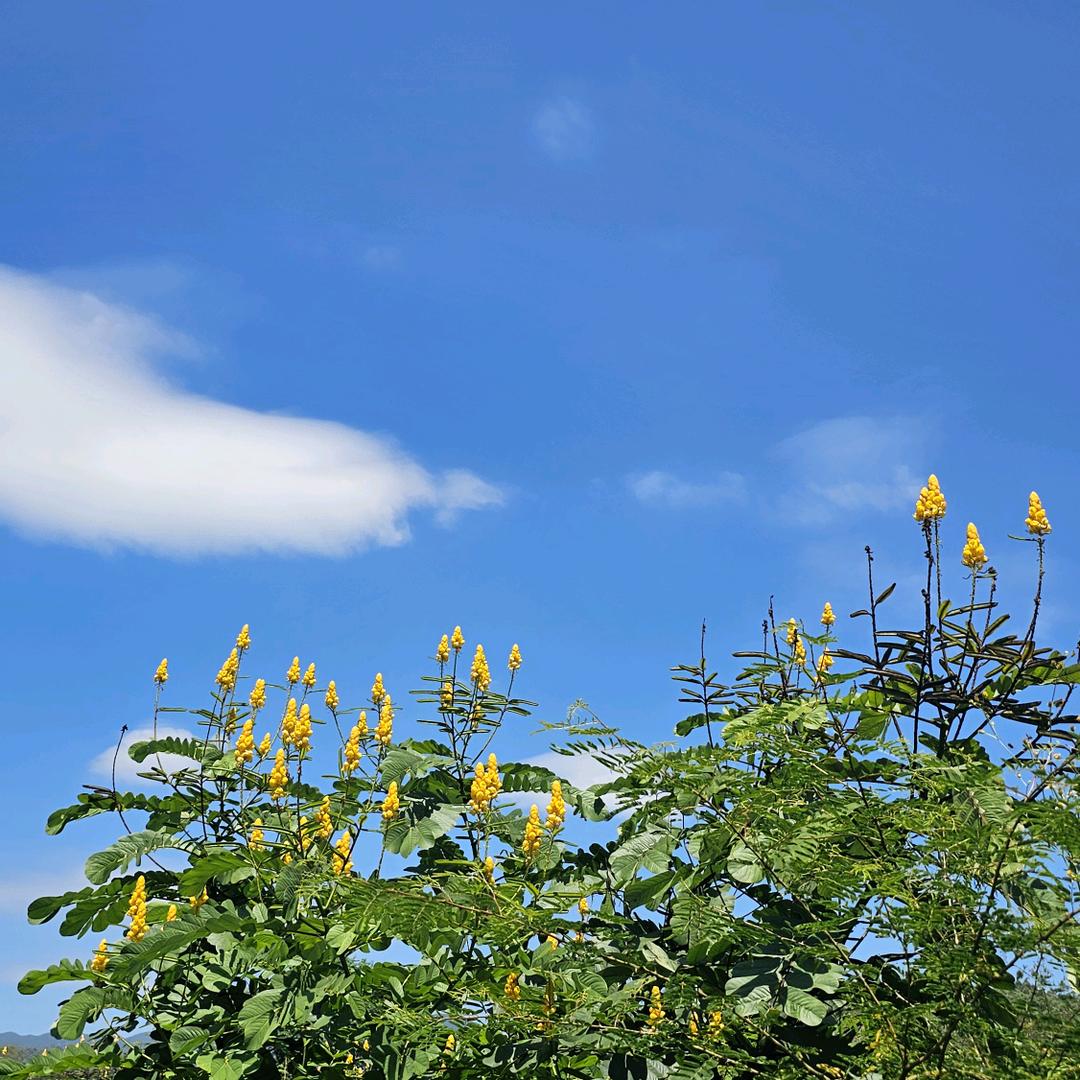 心若天空