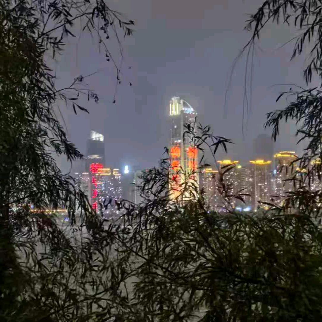 心死翼未伤