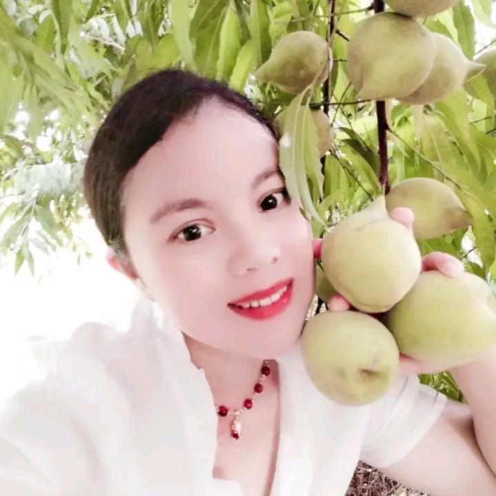 连州特产，家乡腊味，连州菜心，本地皇帝柑