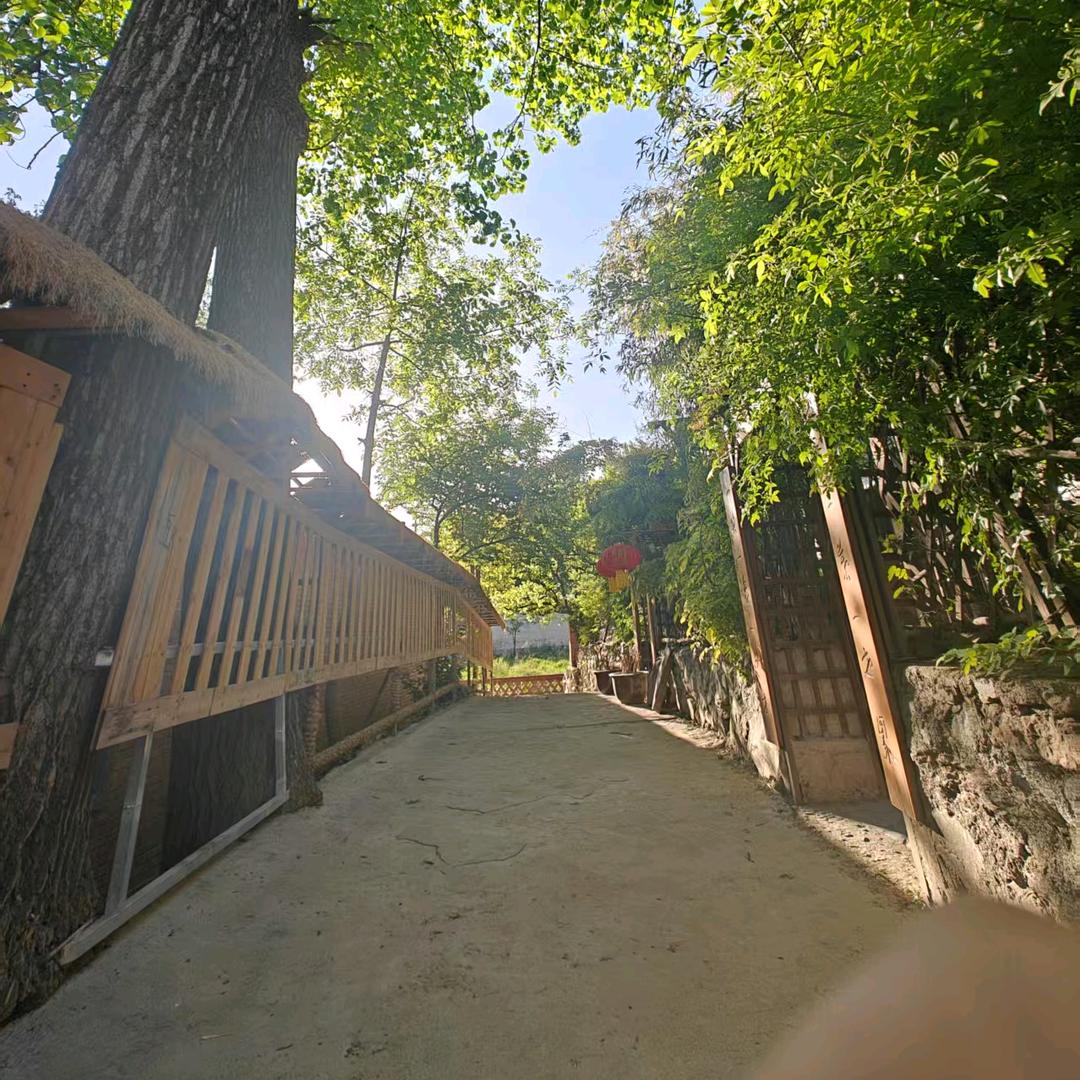 怡情院(秦岭共享小院)