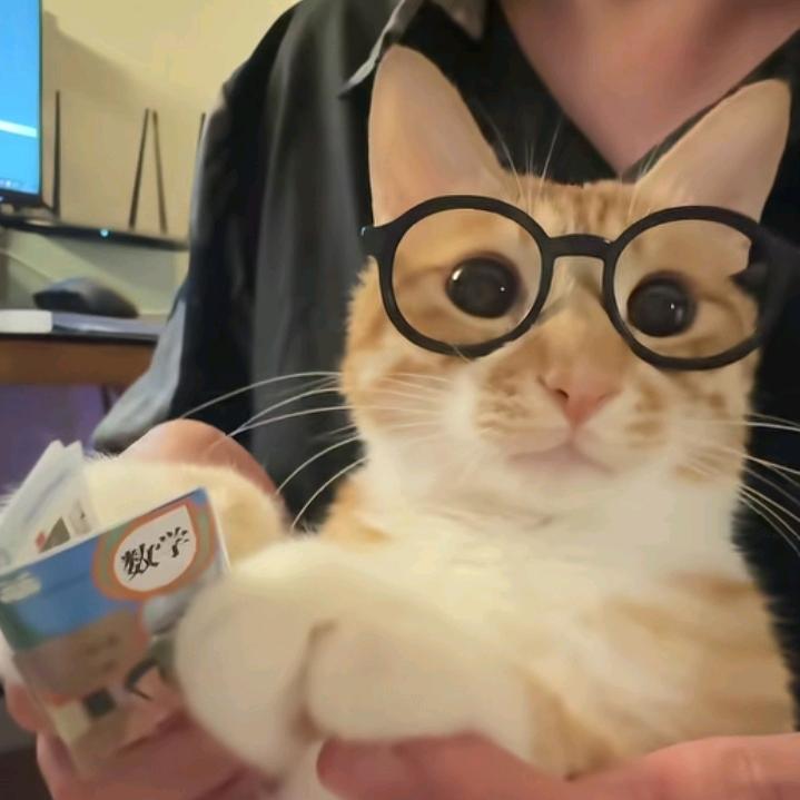 小🐱叫馍馍（🦐🐇）