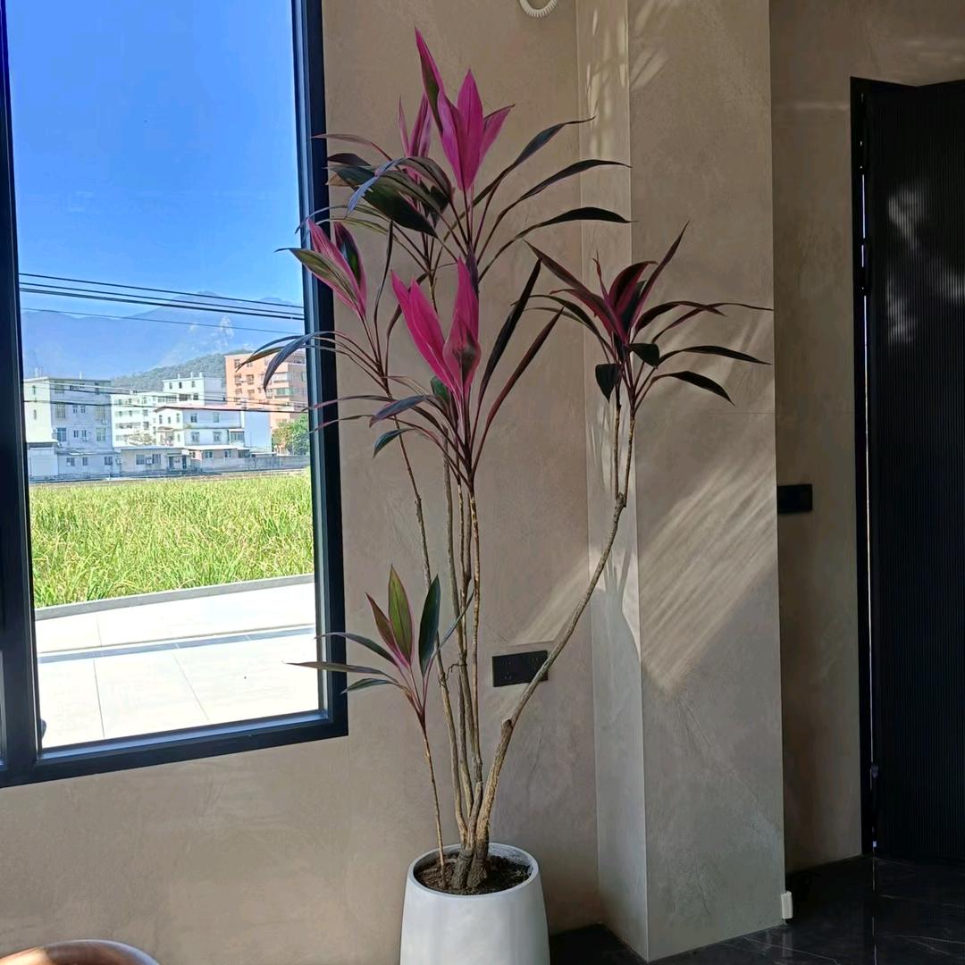 💘💘钱多多💘💘