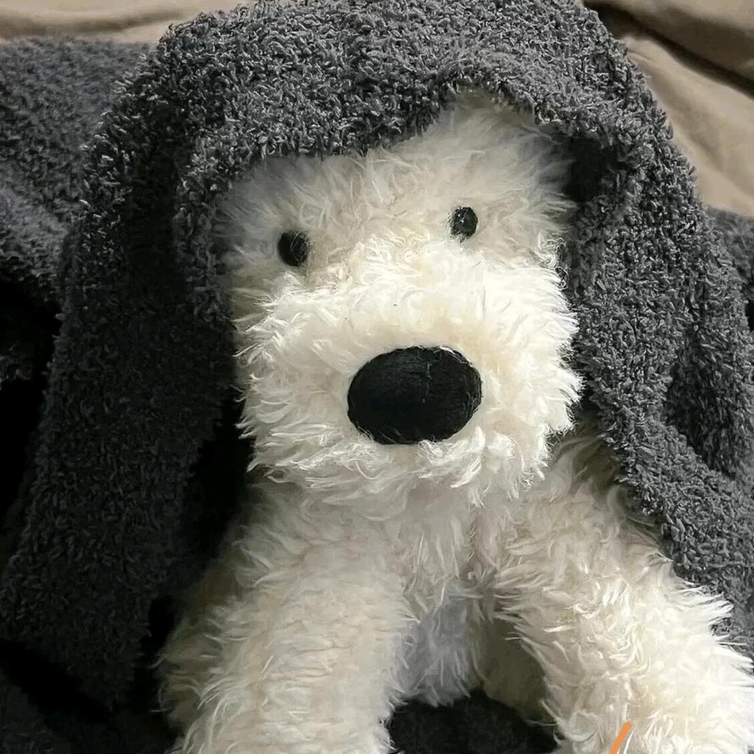 🐻