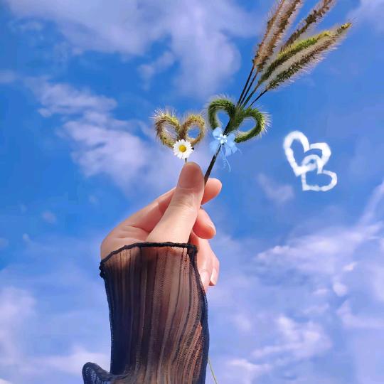 🌻时光静好💞