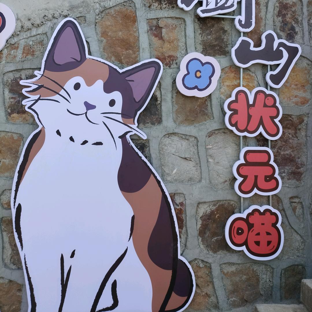 芝士奶盖🥰