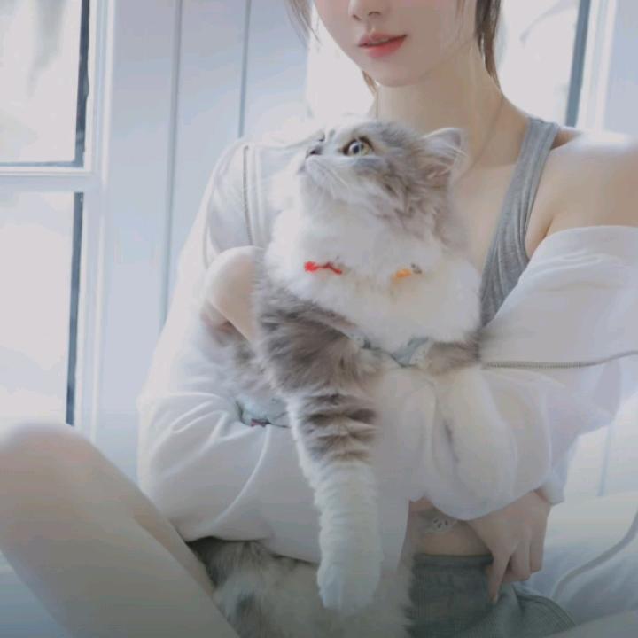 平姐，🌹🌹
