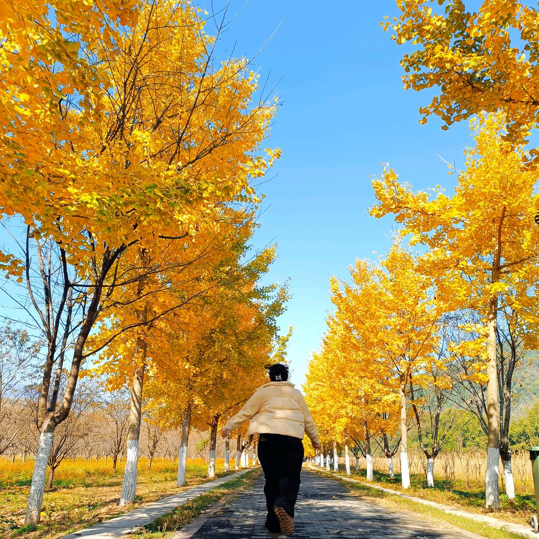 🐑栩宸VS汐宸🐀