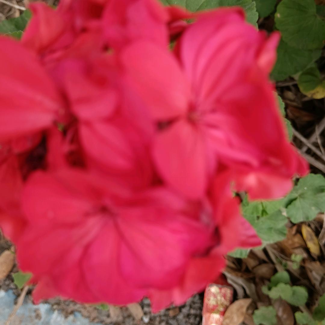 七五年的小🐇🐇