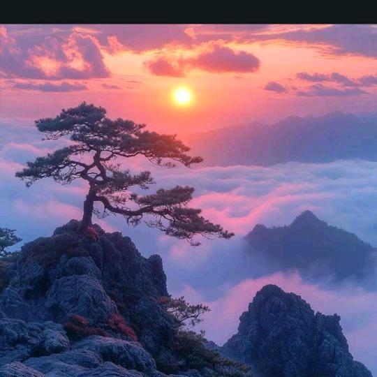 蒙城金秋图书文具🏃📚✏️🇨🇳