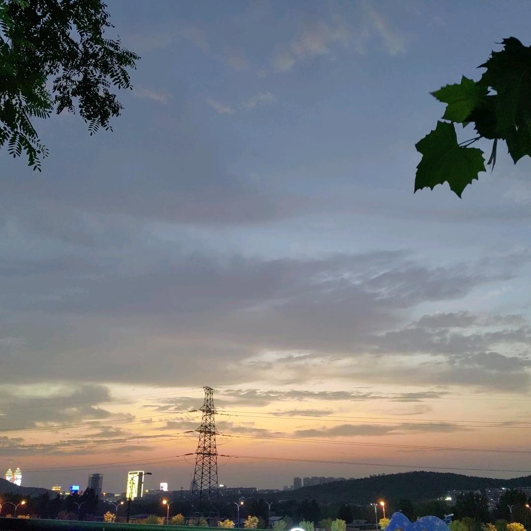 若许南风知我意