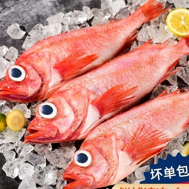 小强海鲜加油冲